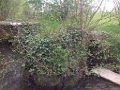 20130501 ST AUBIN-DES-BOIS Clapper Bridge 22
